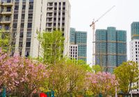 眼见为实 全冠移植|瑞锦东城二期园林绿化植树忙，实景指日可待！