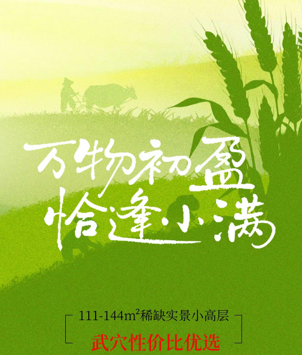 超航·东城首府｜小满初见，家境渐盈