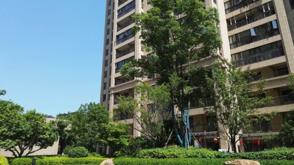 如果重来一次，你愿意与公园为邻 学府作伴吗？