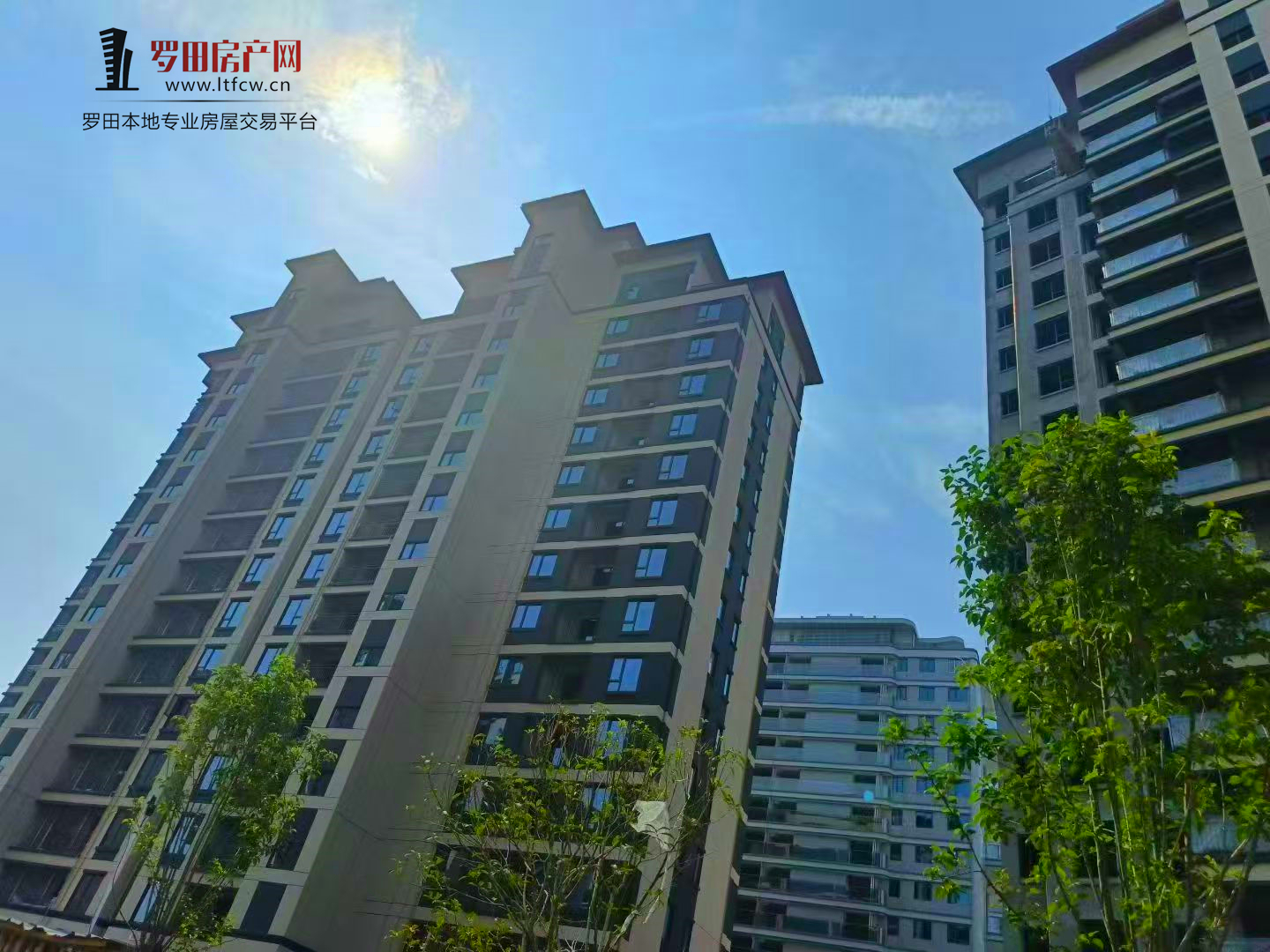 泰禾富·凤凰府 | 给家人一份“看得见”的安心