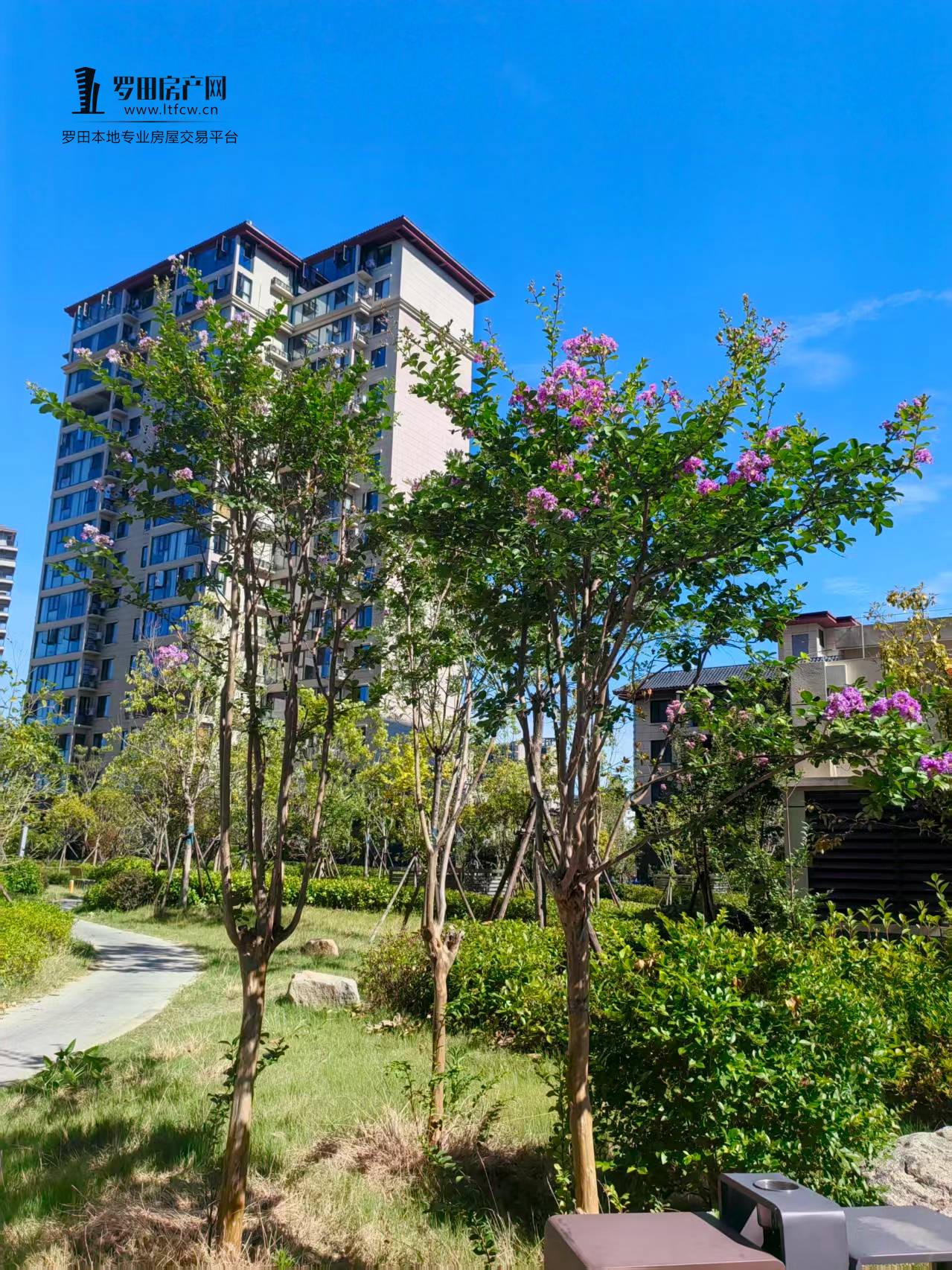 泰禾富·凤凰府｜所见即所得 心安即是家