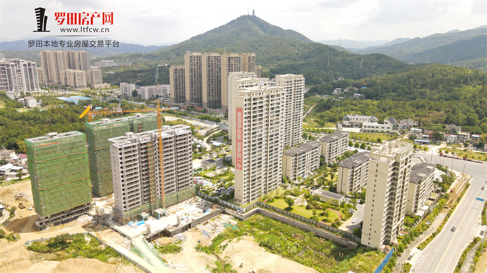 升华·鑫龙翡翠城7月家书：燃情盛夏 美好向阳生长！