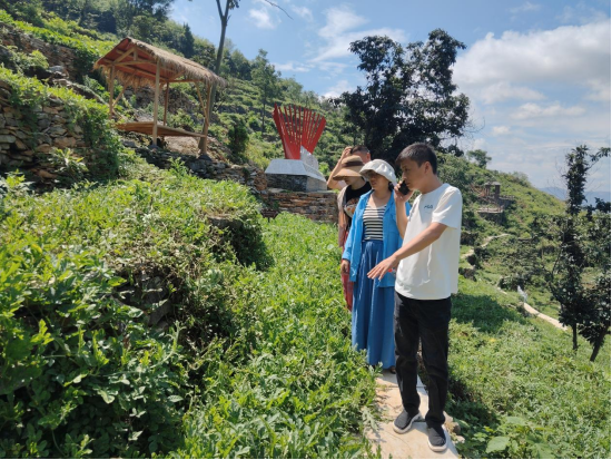 千年梯田结硕果！田家镇山上社区走出农文旅融合振兴路